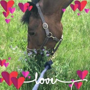 Meet your Posher, Kelly